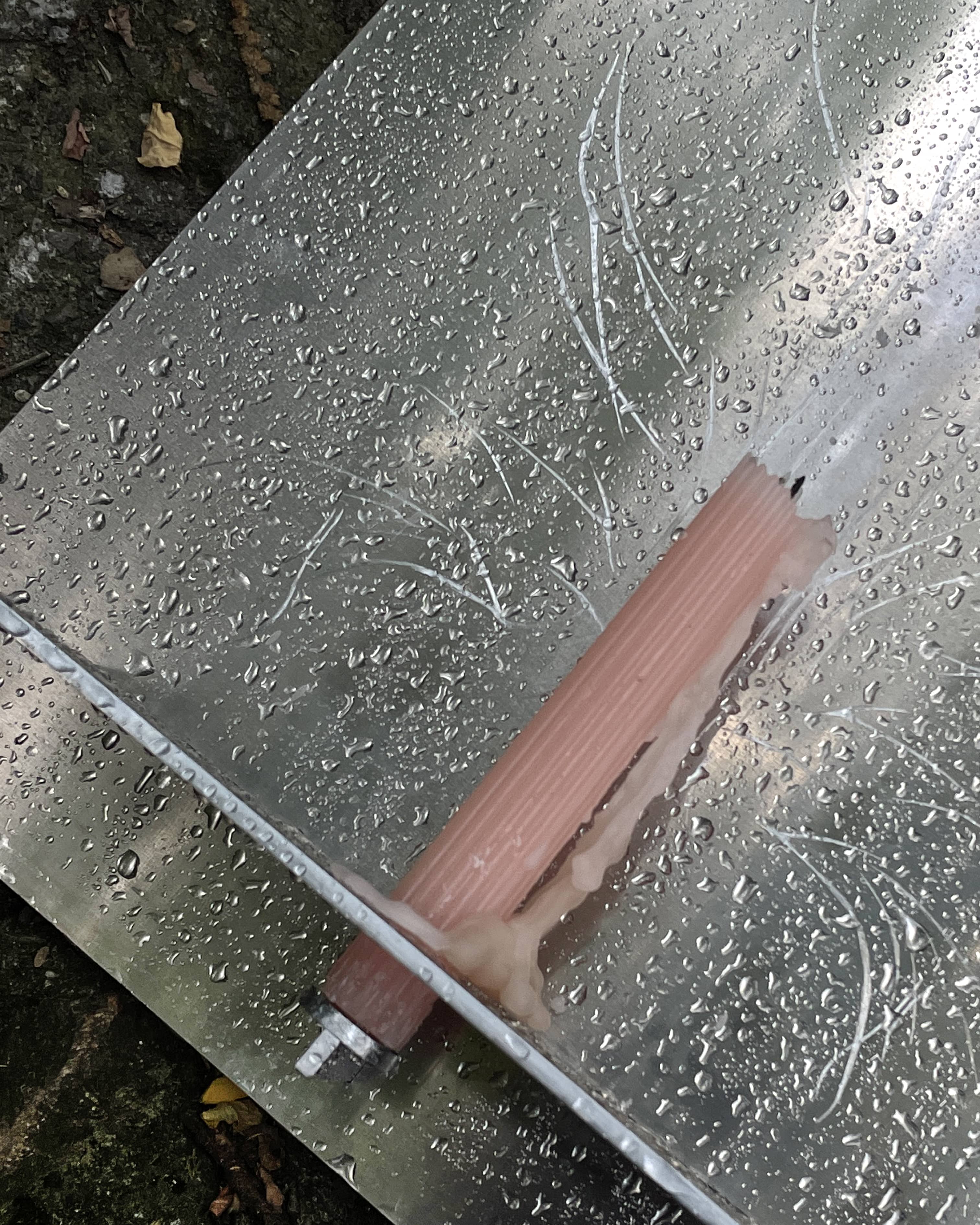  kat(ia) she(legovich) her