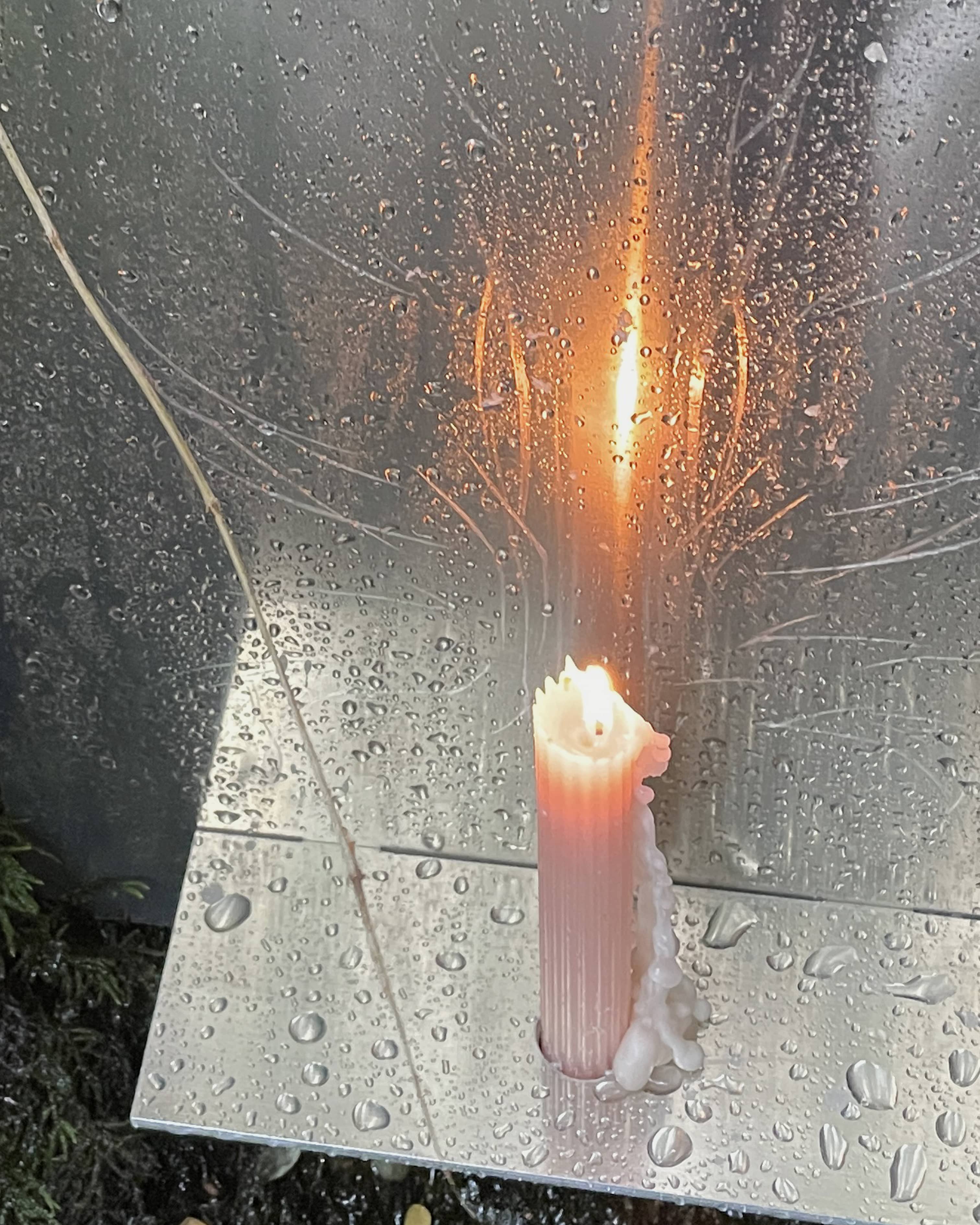  kat(ia) she(legovich) her