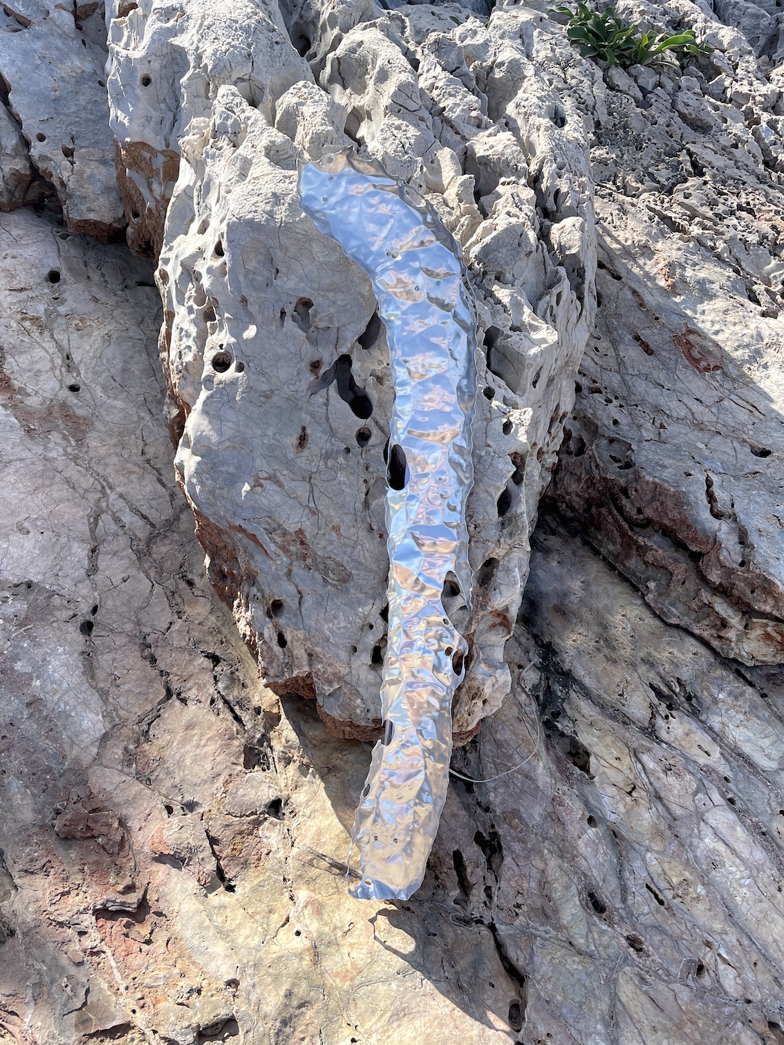  kat(ia) she(legovich) her